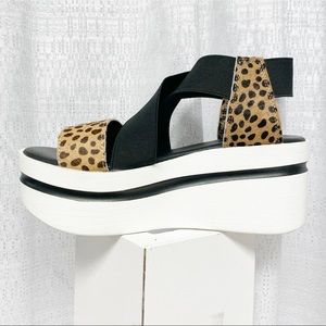 ShuShop NEW Jacqueline Cheetah Wedge Platform Shoe